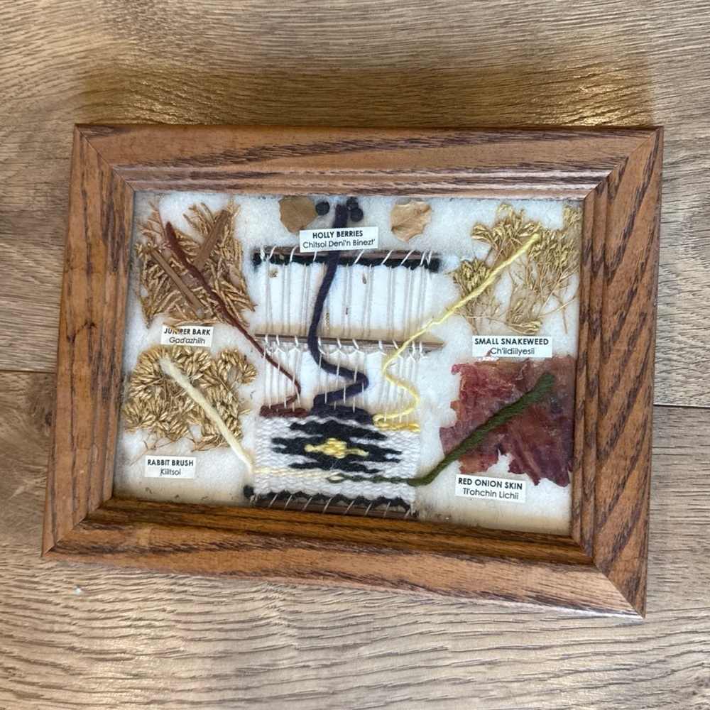 Navajo Rug Weavers Artisan Dye Chart Framed Under Glass Dried Flowers Plants 9x7